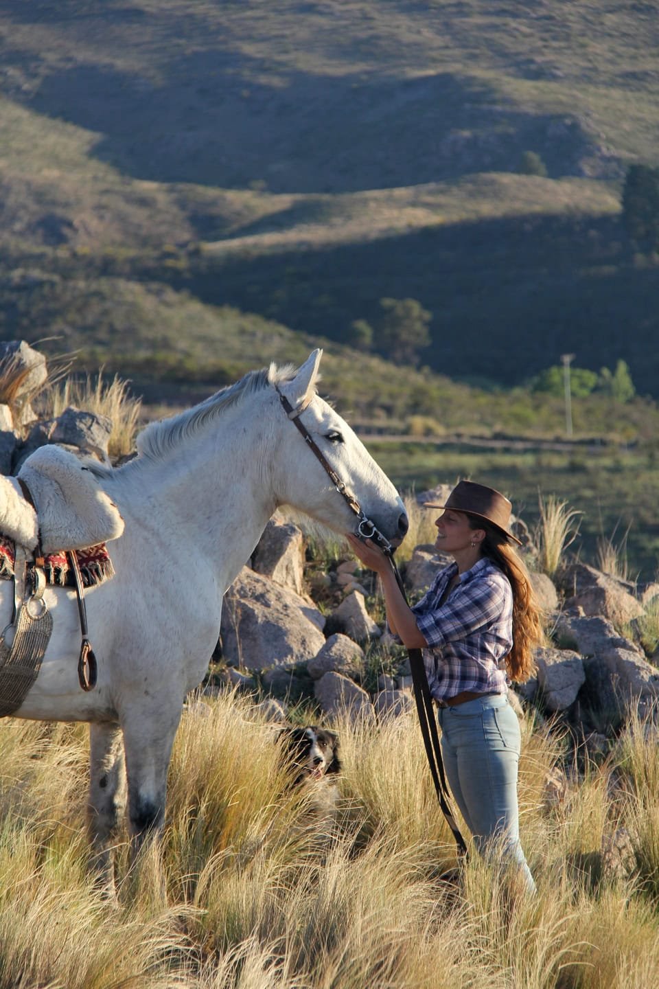 6b2a8d97b13f69cfe4987cd119950333854a90e6