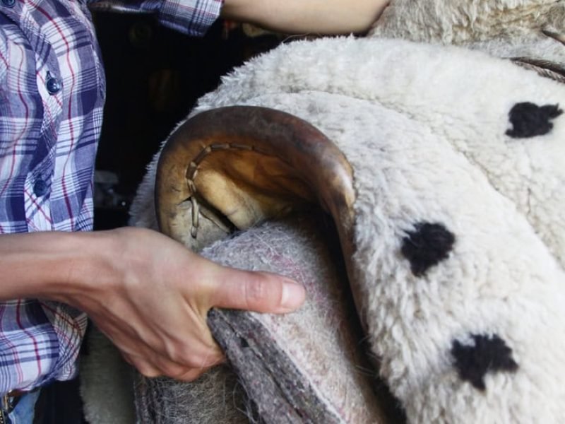 Cabalgatas cortas (13)