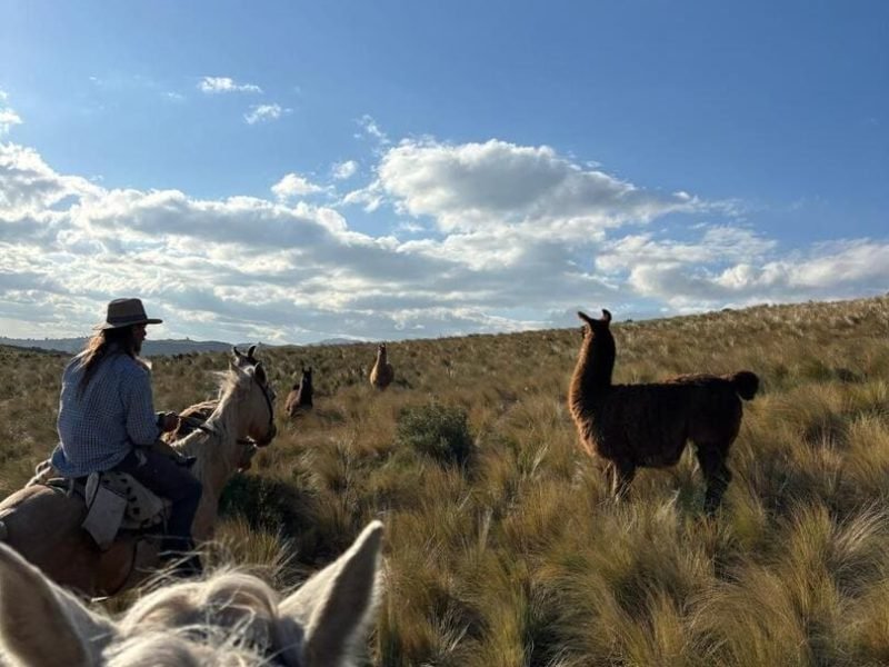 Cabalgatas cortas (18)