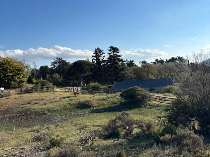 Cabalgatas cortas (19)