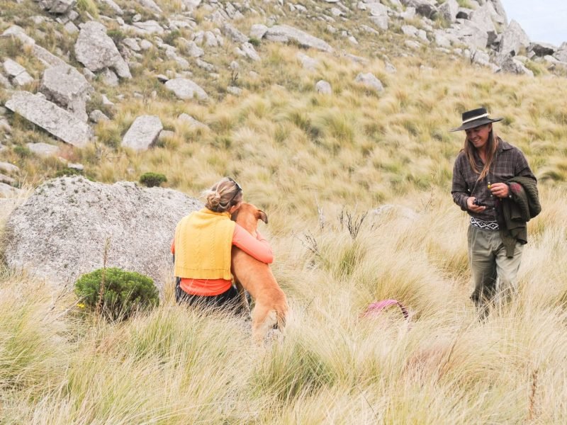 Cabalgatas cortas (2)