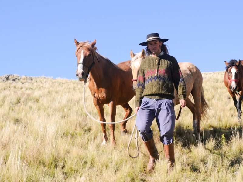 Cabalgatas cortas (4)