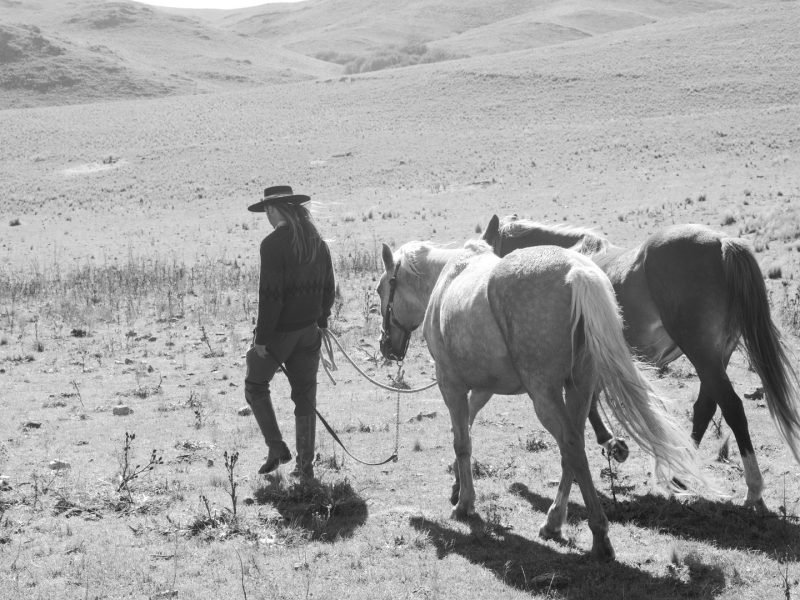 Cabalgatas cortas (5)