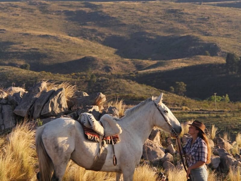 Cabalgatas cortas (6)