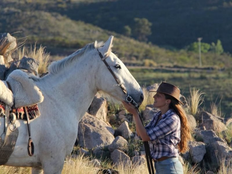 Cabalgatas cortas (7)