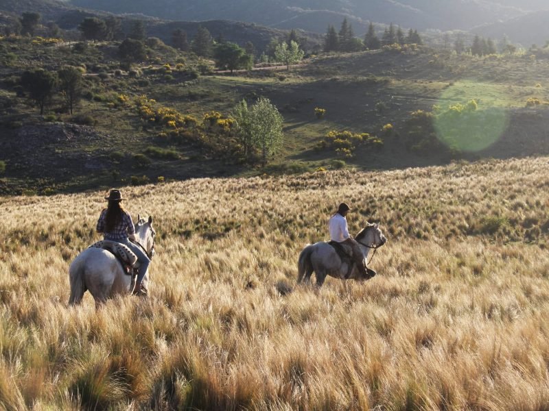 Cabalgatas cortas (8)