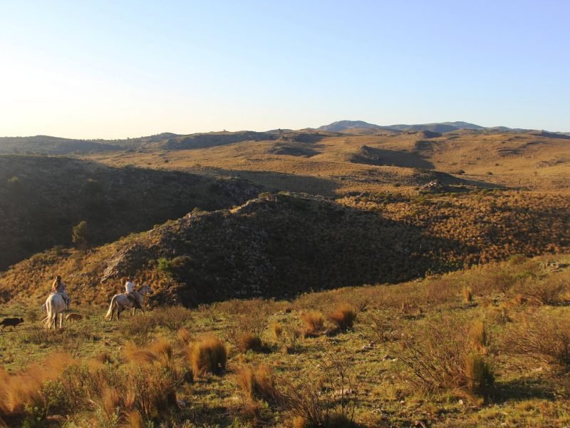 Cabalgatas cortas (9)