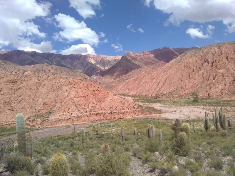 Jujuy (15)
