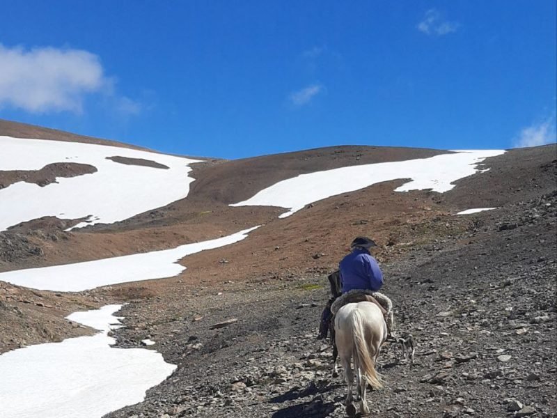 photo_4949892149164051220_y