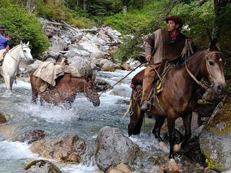 photo_4949892149164051221_y