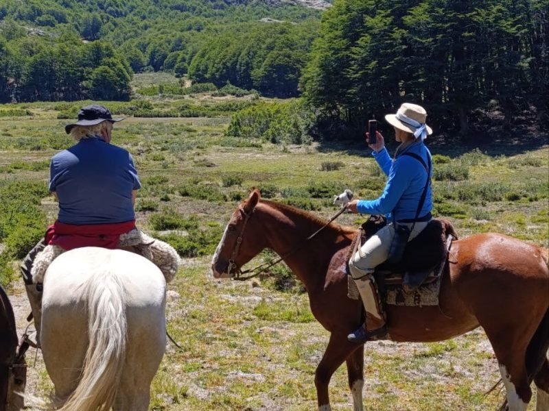 photo_4949892149164051222_y