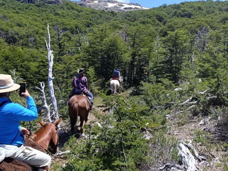 photo_4949892149164051223_y