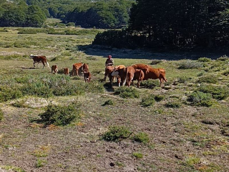 photo_4949892149164051224_y