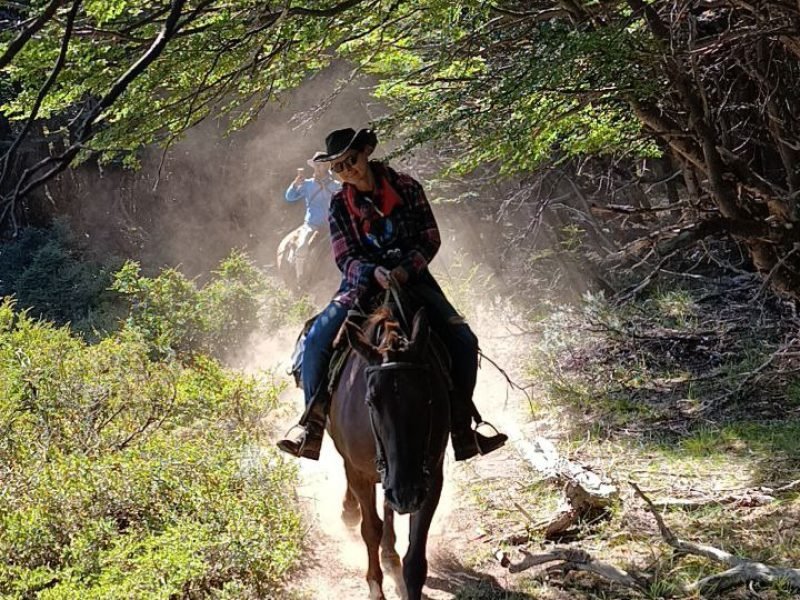 photo_4949892149164051225_y