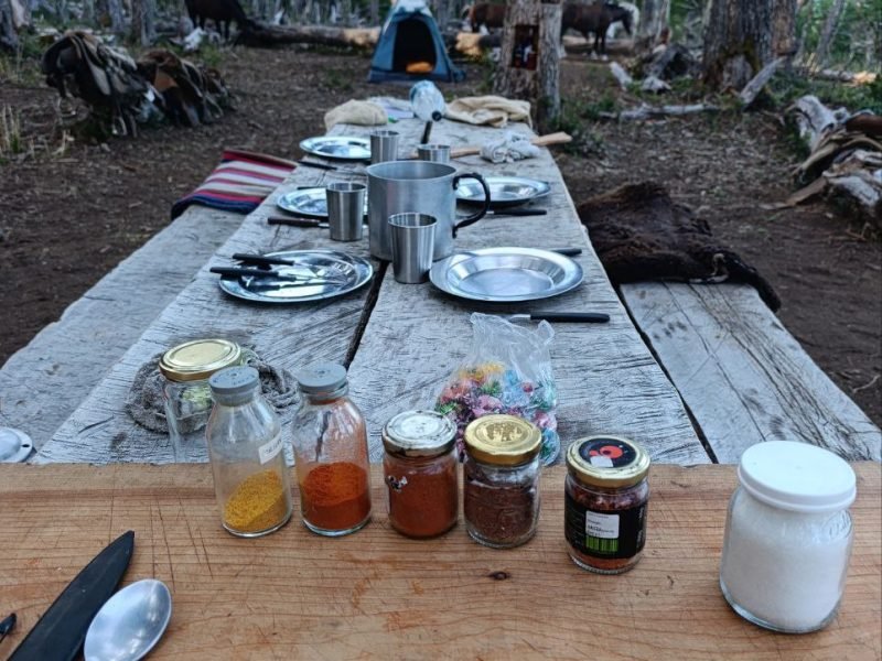 photo_4949892149164051226_y