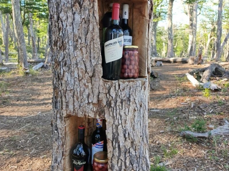 photo_4949892149164051228_y