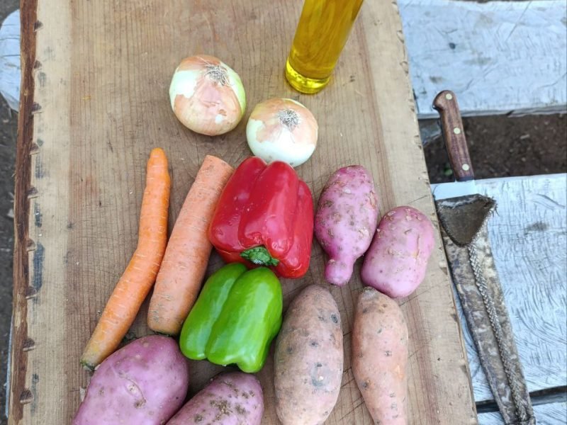 photo_4949892149164051229_y