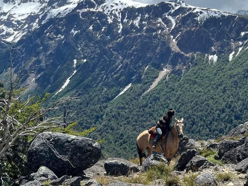 photo_4949892149164051231_y